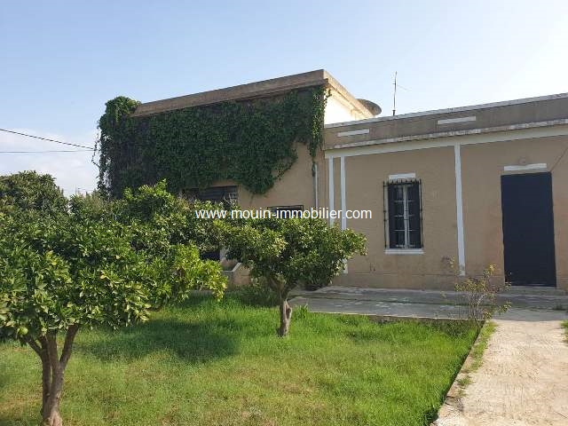 Vente Maison/Villa HAMMAMET TUNISIE  