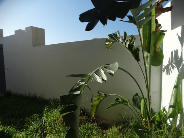Vente&nbsp;Maison/Villa&nbsp;HAMMAMET&nbsp;TUNISIE&nbsp;&nbsp;