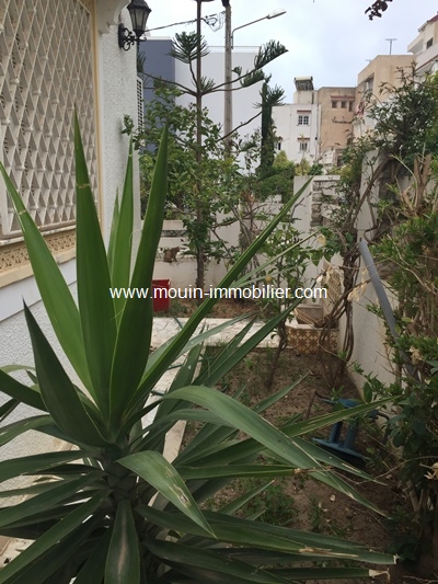 Vente Maison/Villa HAMMAMET TUNISIE  