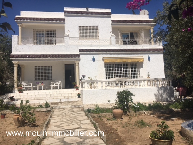 Vente Maison/Villa HAMMAMET TUNISIE  