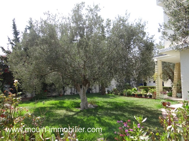 Vente Maison/Villa HAMMAMET TUNISIE  