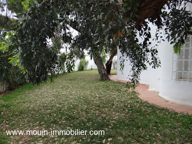 Vente Maison/Villa HAMMAMET TUNISIE  