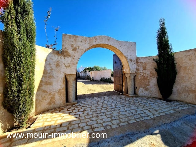 Vente Maison/Villa HAMMAMET TUNISIE  