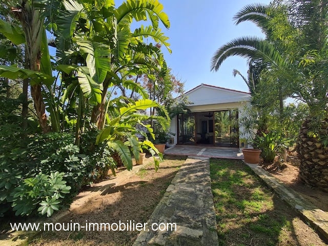 Vente Maison/Villa HAMMAMET TUNISIE  
