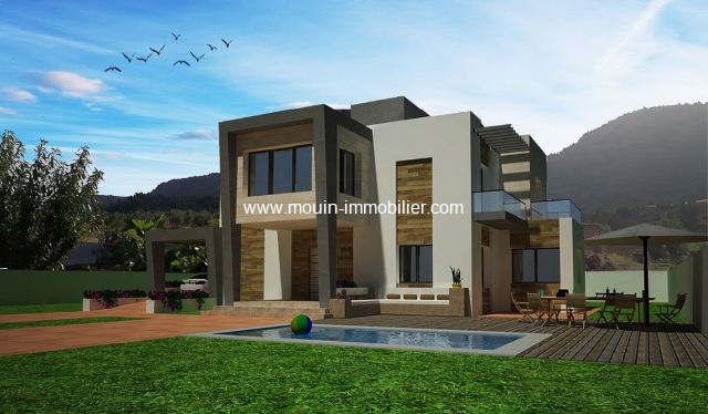 Vente Maison/Villa HAMMAMET TUNISIE  