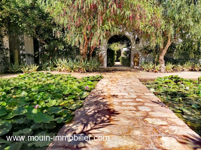 Vente Maison/Villa HAMMAMET TUNISIE  