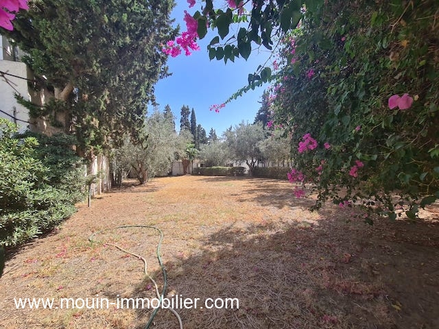 Vente Maison/Villa HAMMAMET TUNISIE  