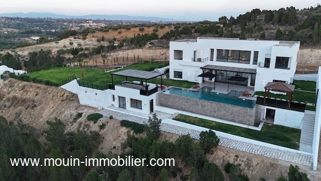 Vente Maison/Villa HAMMAMET TUNISIE  