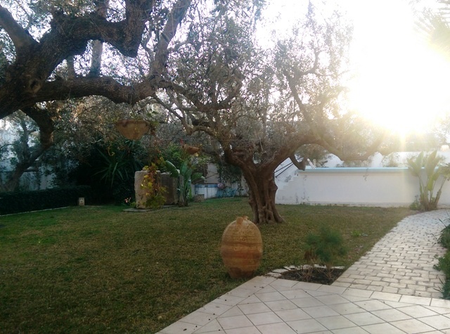 Vente&nbsp;Maison/Villa&nbsp;HAMMAMET NORD&nbsp;TUNISIE&nbsp;&nbsp;