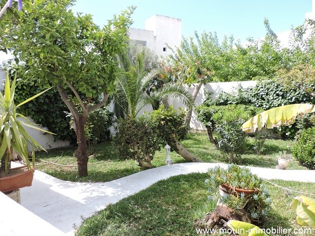Vente Maison/Villa HAMMAMET NORD TUNISIE  