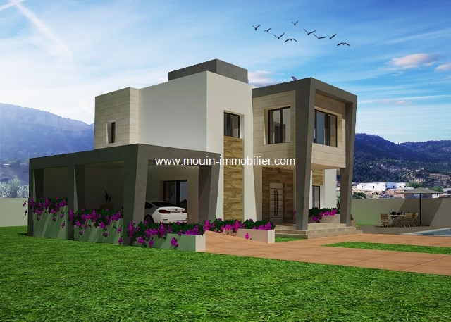 Vente Maison/Villa HAMMAMET SUD TUNISIE  