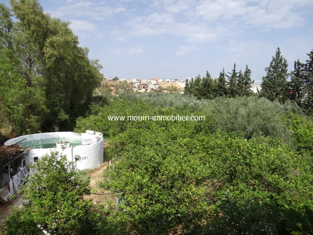 Vente Maison/Villa HAMMAMET SUD TUNISIE  