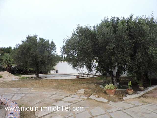 Vente Maison/Villa HAMMAMET SUD TUNISIE  