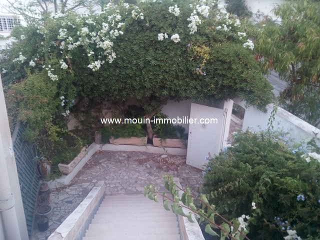 Vente Maison/Villa LA MARSA CUBE TUNISIE  