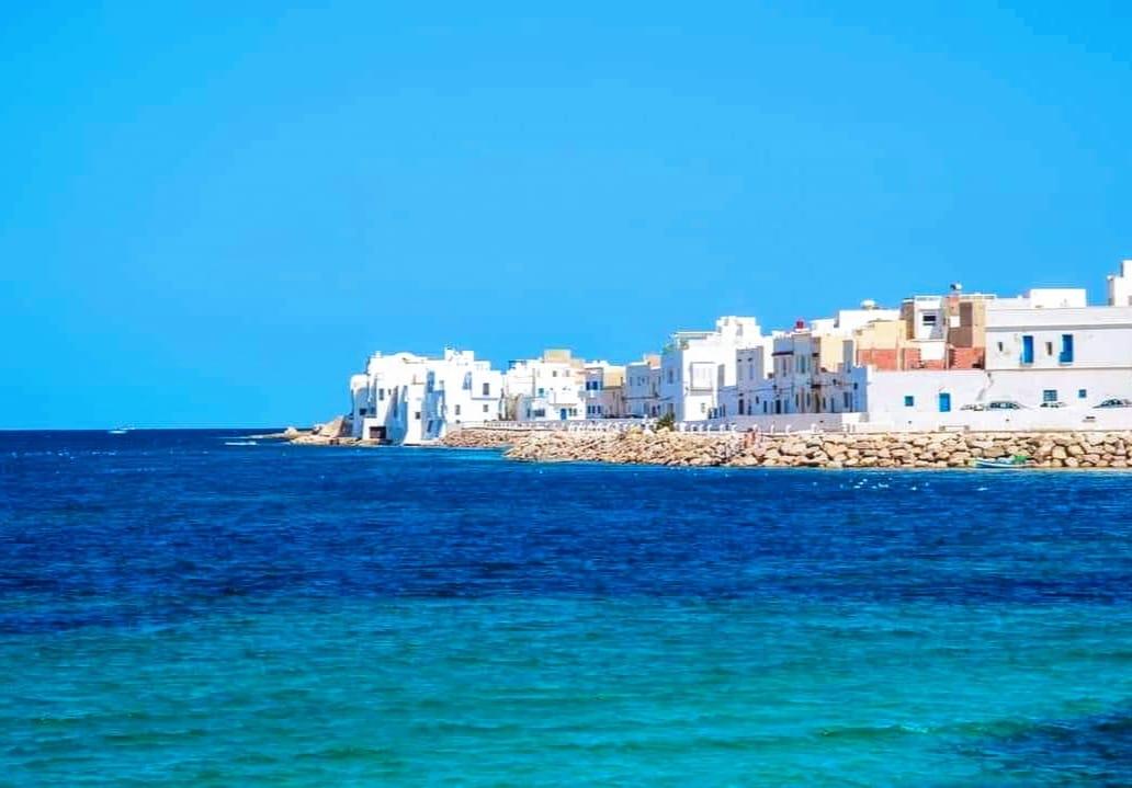 Vente Maison/Villa MAHDIA TUNISIE  