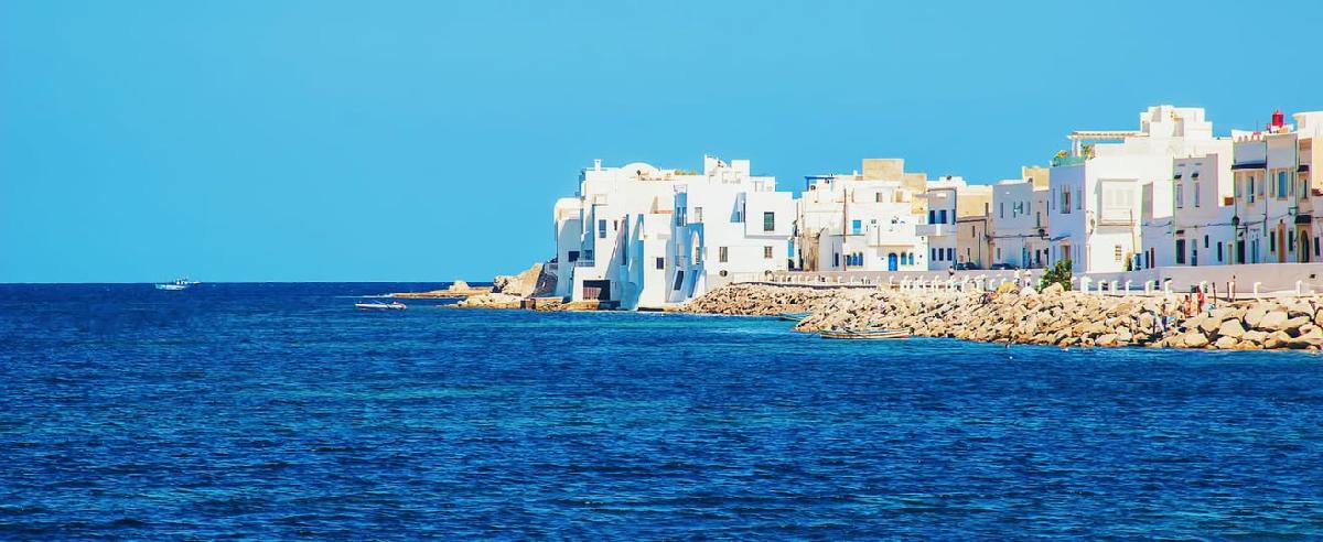 Vente&nbsp;Maison/Villa&nbsp;MAHDIA&nbsp;TUNISIE&nbsp;&nbsp;