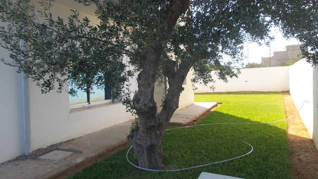 Vente&nbsp;Maison/Villa&nbsp;NABEUL&nbsp;TUNISIE&nbsp;&nbsp;