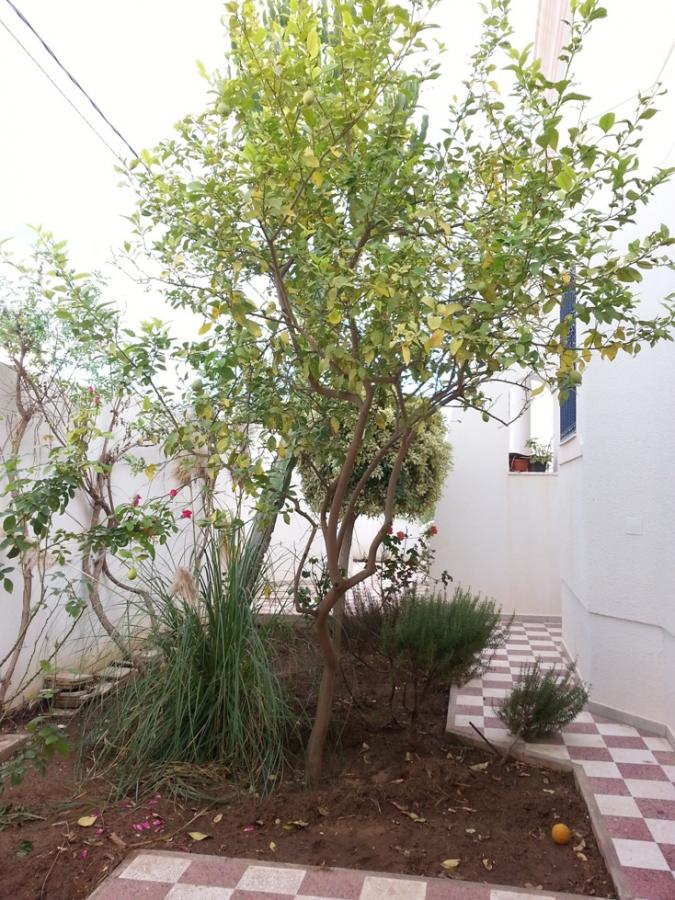 Vente Maison/Villa SOUSSE TUNISIE  