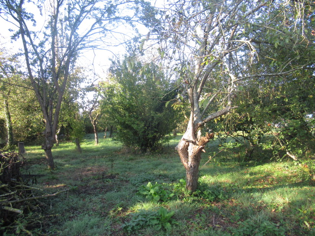 Vente Terrain BREVAL 78980 Yvelines FRANCE