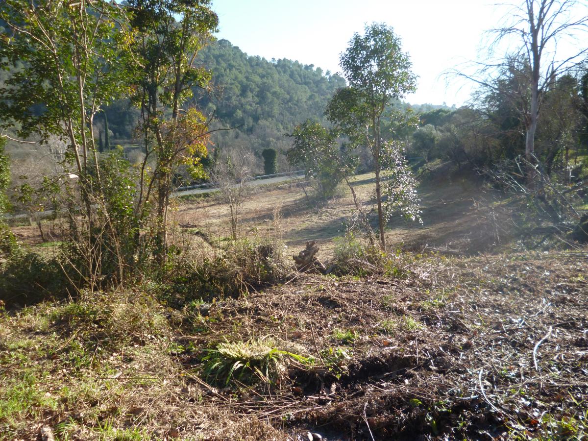 Vente Terrain BARGEMON 83830 Var FRANCE