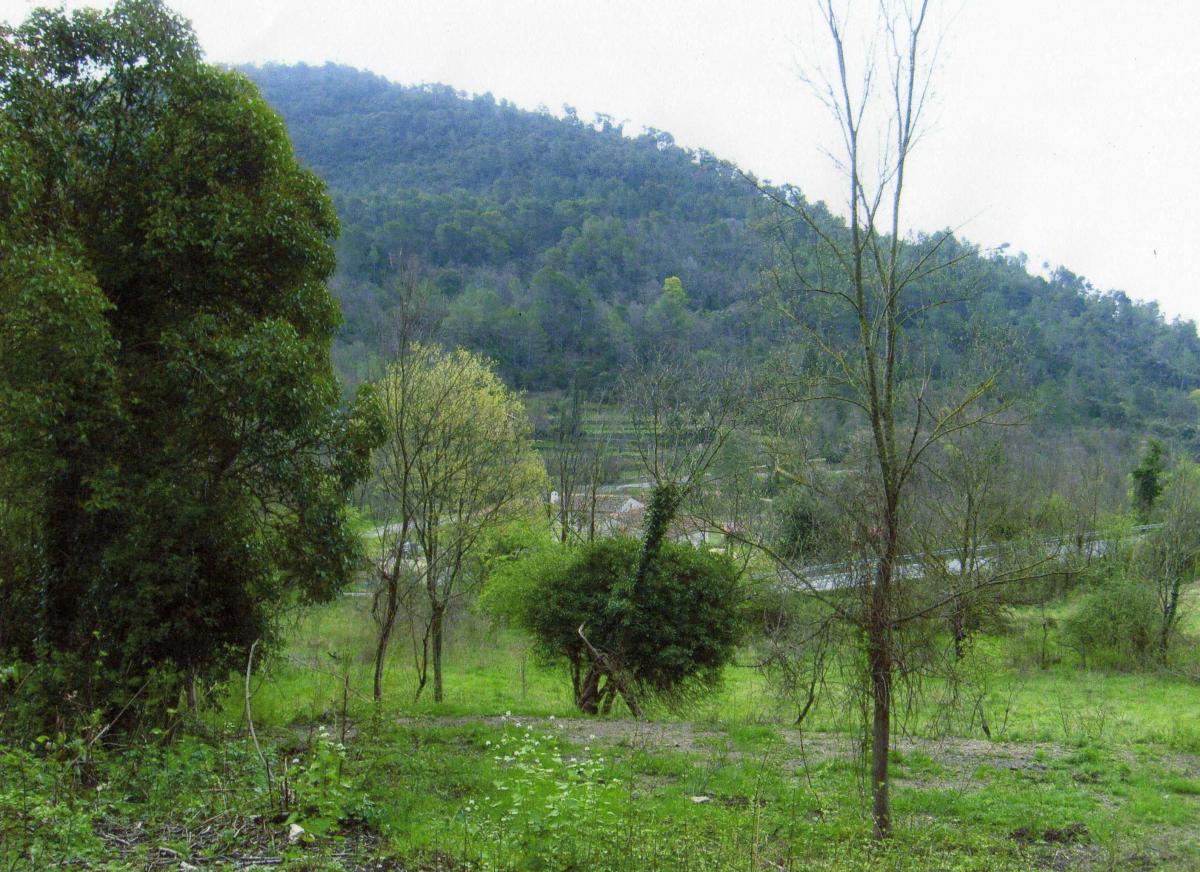 Vente&nbsp;Terrain&nbsp;BARGEMON&nbsp;83830&nbsp;Var&nbsp;FRANCE