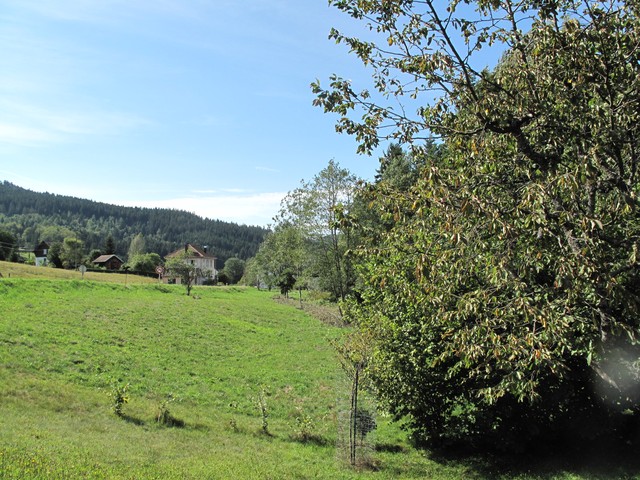 Vente Terrain VENTRON 88310 Vosges FRANCE