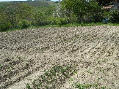 Vente&nbsp;Terrain&nbsp;OSENOVO&nbsp;BULGARIE&nbsp;&nbsp;