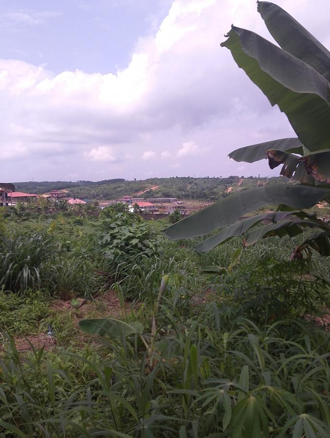 Vente Terrain DOUALA CAMEROUN  