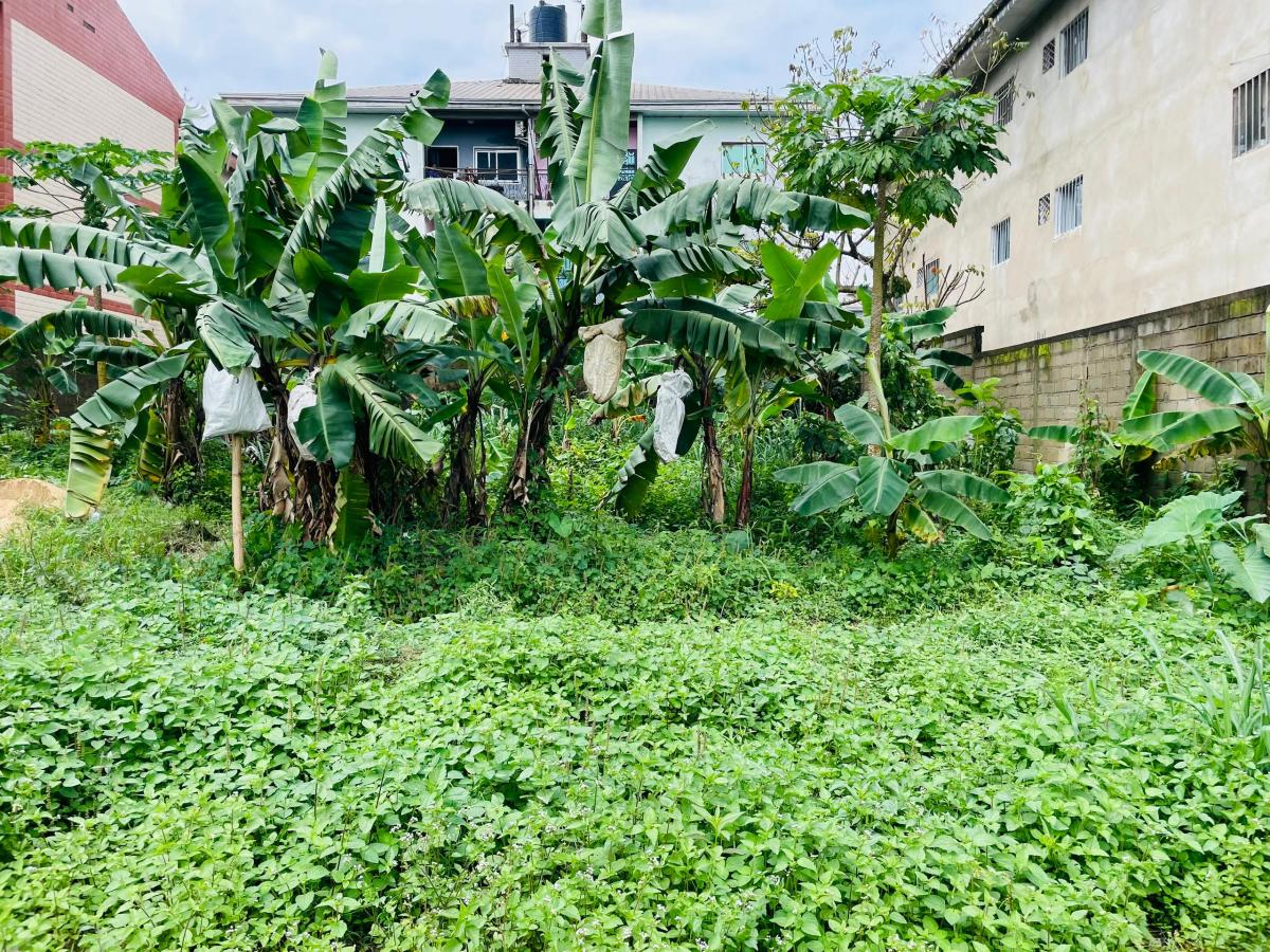 Vente Terrain DOUALA CAMEROUN  