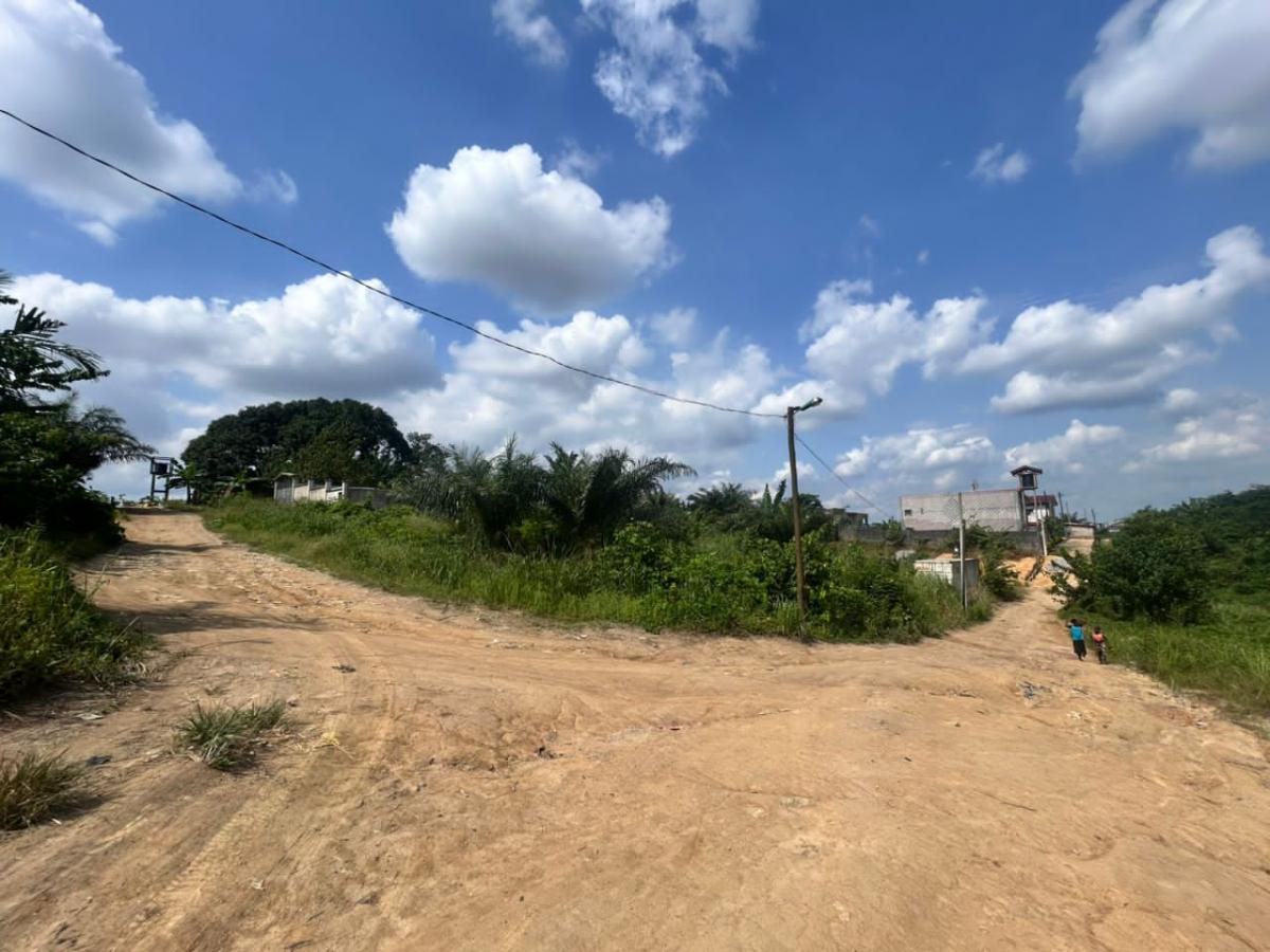 Vente Terrain DOUALA CAMEROUN  