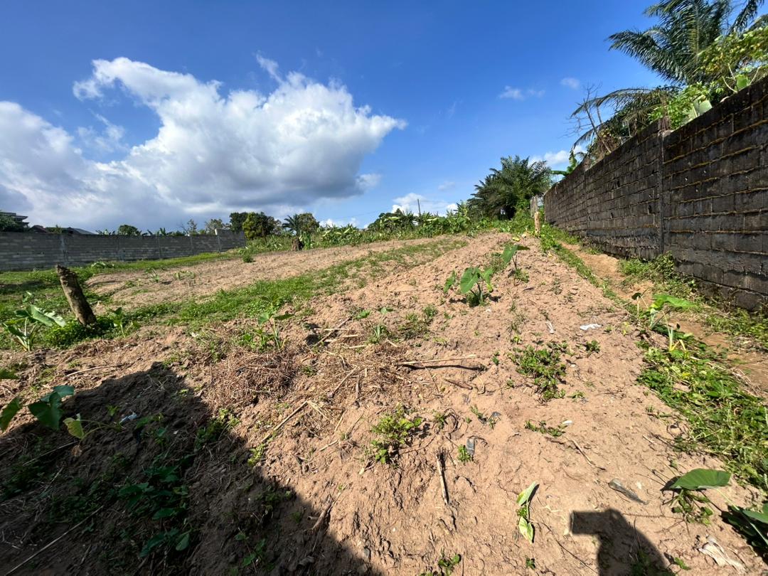 Vente Terrain DOUALA CAMEROUN  