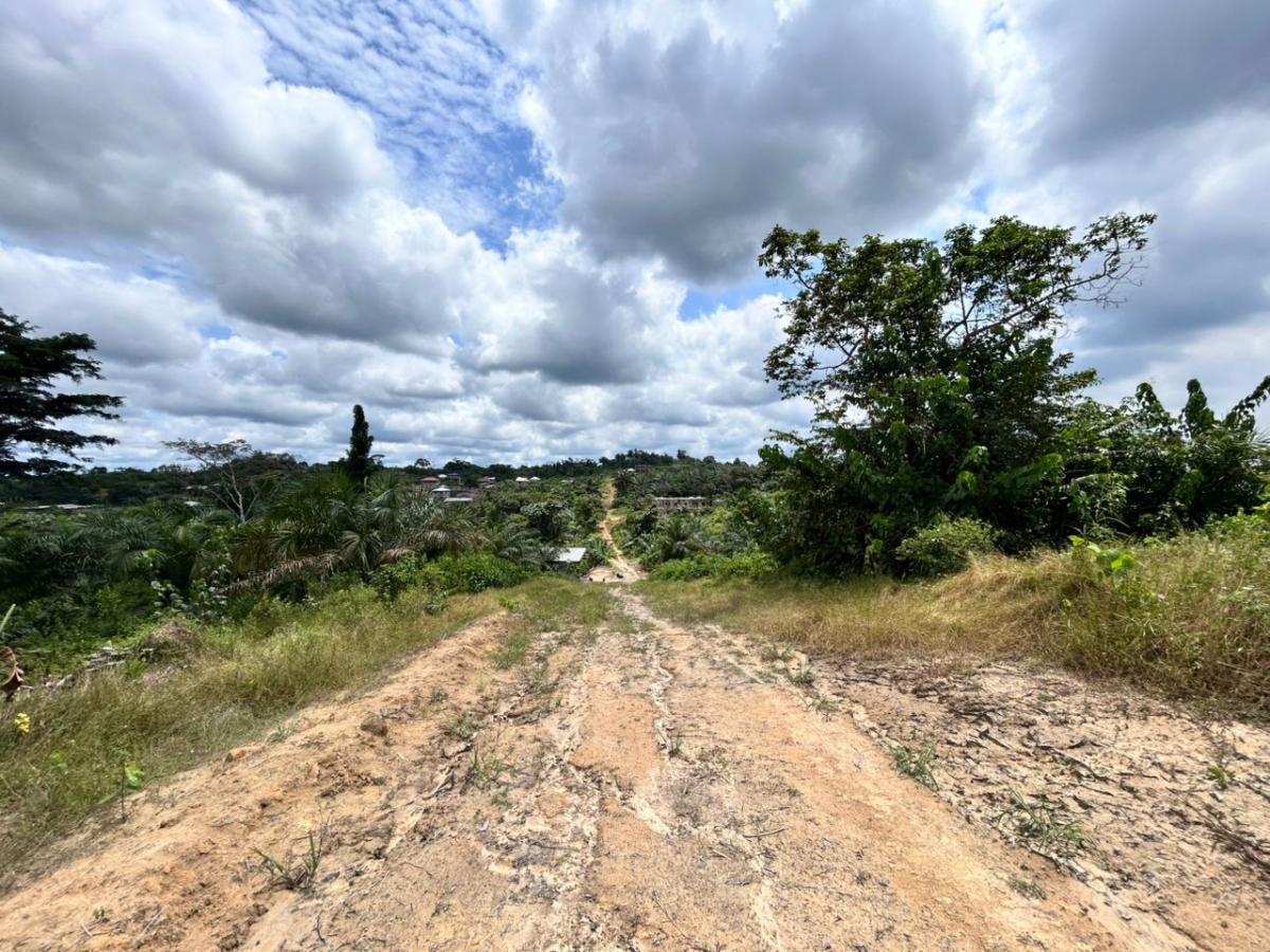Vente Terrain DOUALA CAMEROUN  