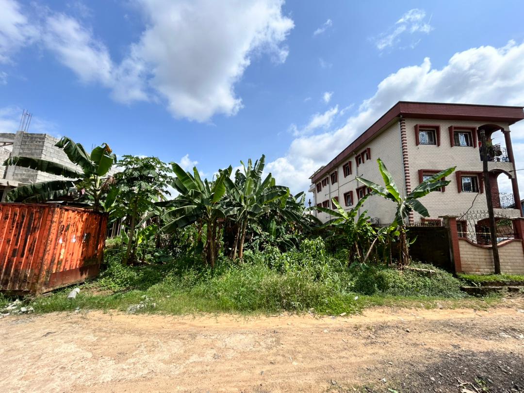 Vente Terrain DOUALA CAMEROUN  