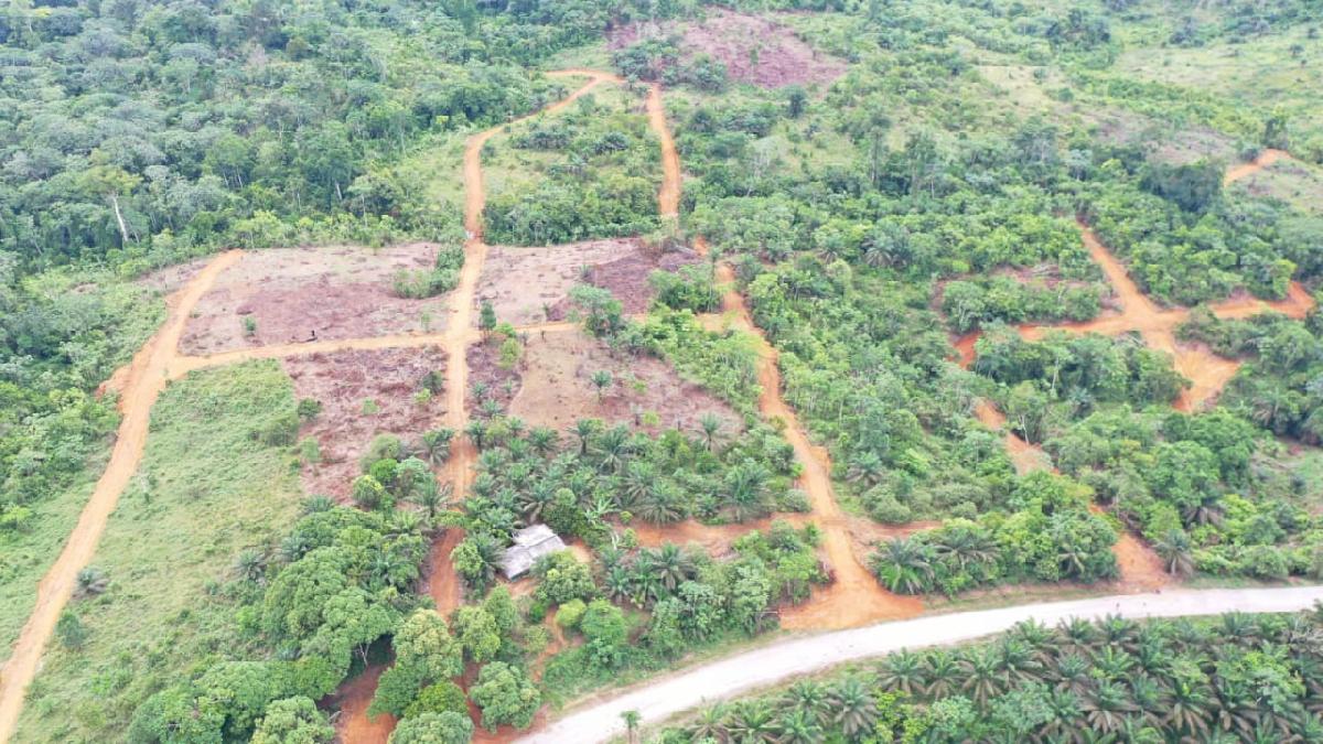 Vente&nbsp;Terrain&nbsp;DOUALA&nbsp;CAMEROUN&nbsp;&nbsp;