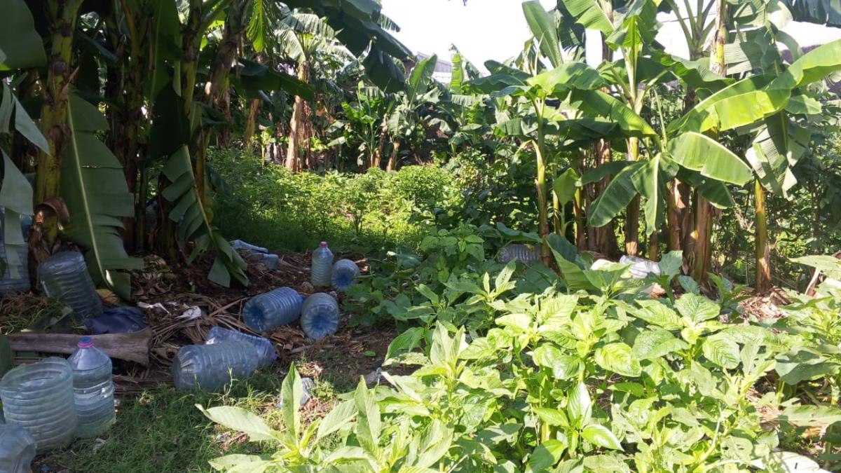 Vente&nbsp;Terrain&nbsp;DOUALA&nbsp;CAMEROUN&nbsp;&nbsp;