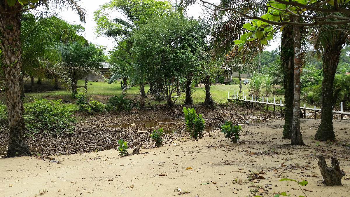 Vente&nbsp;Terrain&nbsp;KRIBI&nbsp;CAMEROUN&nbsp;&nbsp;