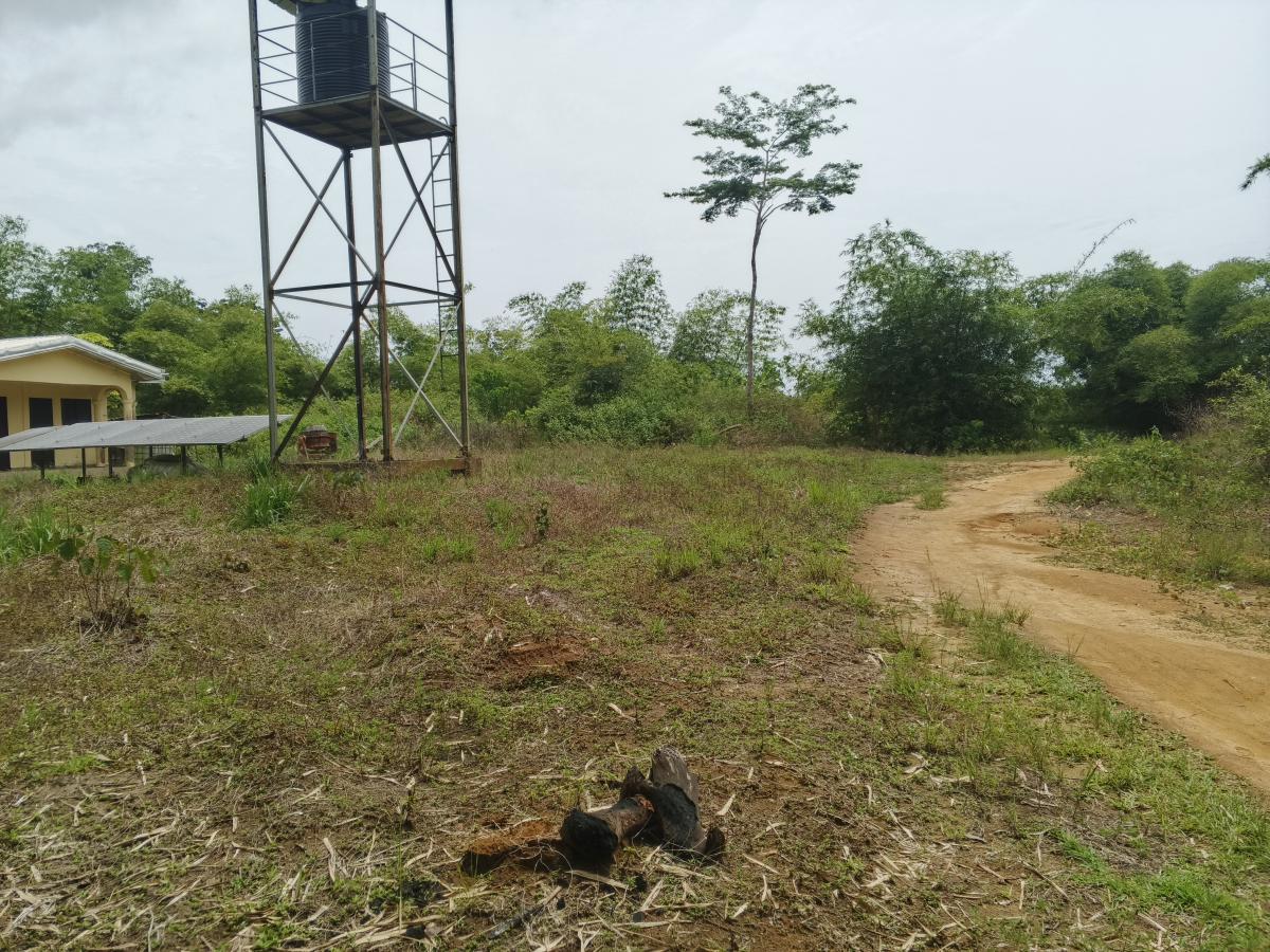 Vente&nbsp;Terrain&nbsp;KRIBI&nbsp;CAMEROUN&nbsp;&nbsp;