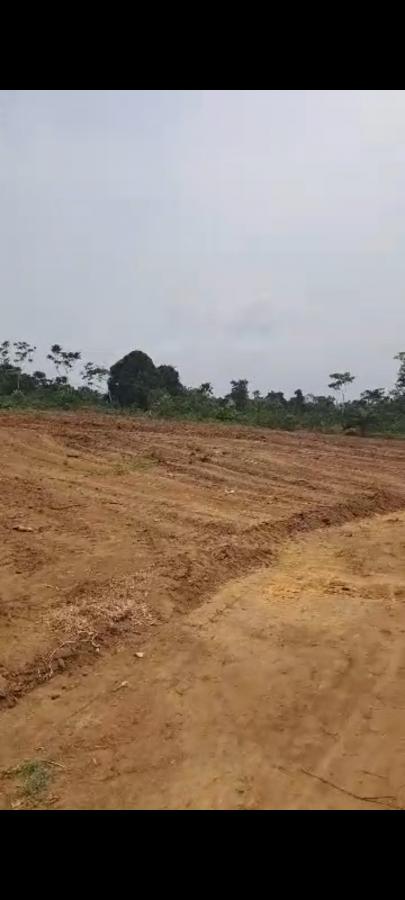 Vente&nbsp;Terrain&nbsp;KRIBI&nbsp;CAMEROUN&nbsp;&nbsp;