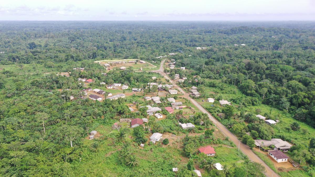 Vente&nbsp;Terrain&nbsp;LOBADJECK &nbsp;CAMEROUN&nbsp;&nbsp;