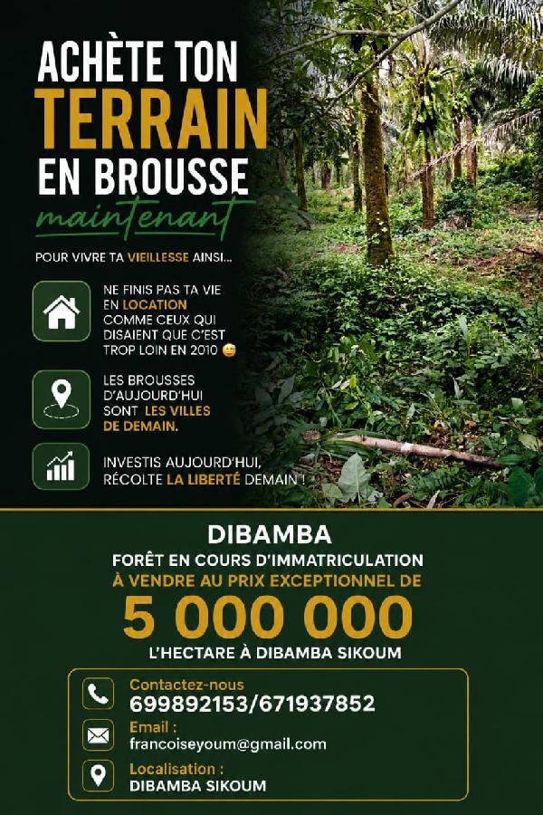 Vente&nbsp;Terrain&nbsp;LOGBADJECK - DIBAMBA&nbsp;CAMEROUN&nbsp;&nbsp;