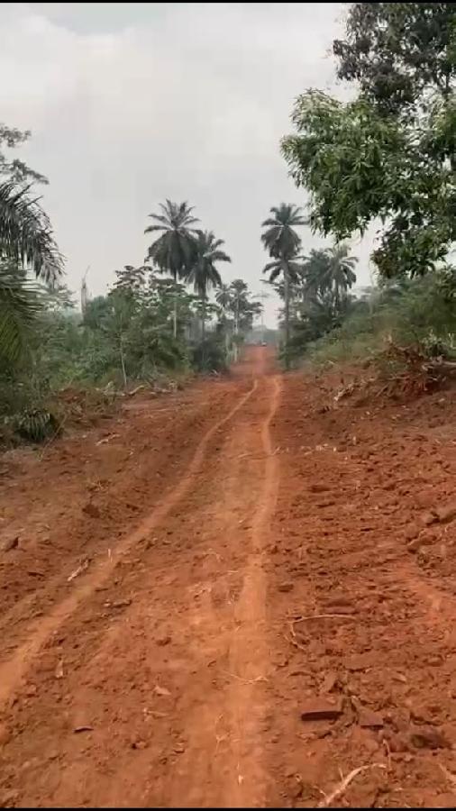 Vente Terrain MFOU CAMEROUN  