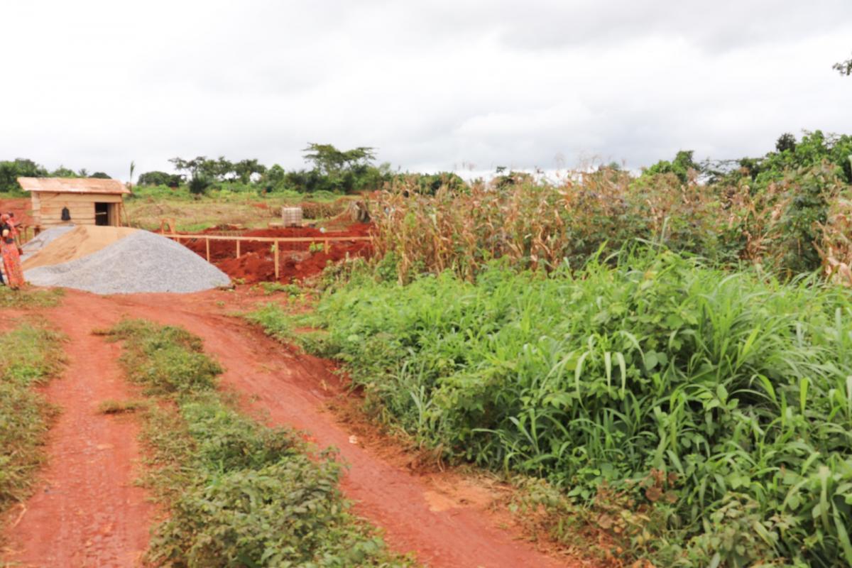 Vente Terrain SOA CAMEROUN  