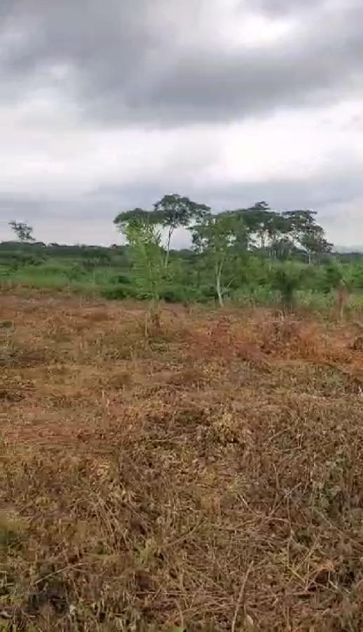 Vente&nbsp;Terrain&nbsp;YAOUNDE - NKOMETOU&nbsp;CAMEROUN&nbsp;&nbsp;