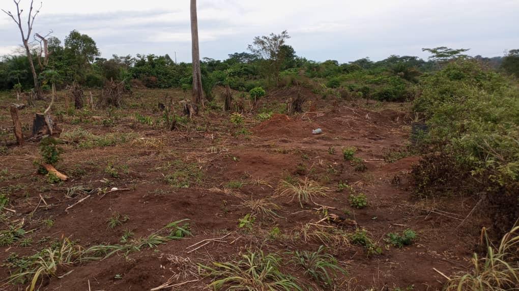 Vente&nbsp;Terrain&nbsp;YAOUNDE - NKOMETOU&nbsp;CAMEROUN&nbsp;&nbsp;