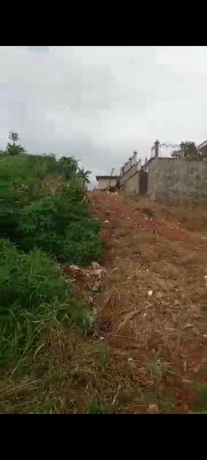 Vente Terrain YAOUNDE  CAMEROUN  