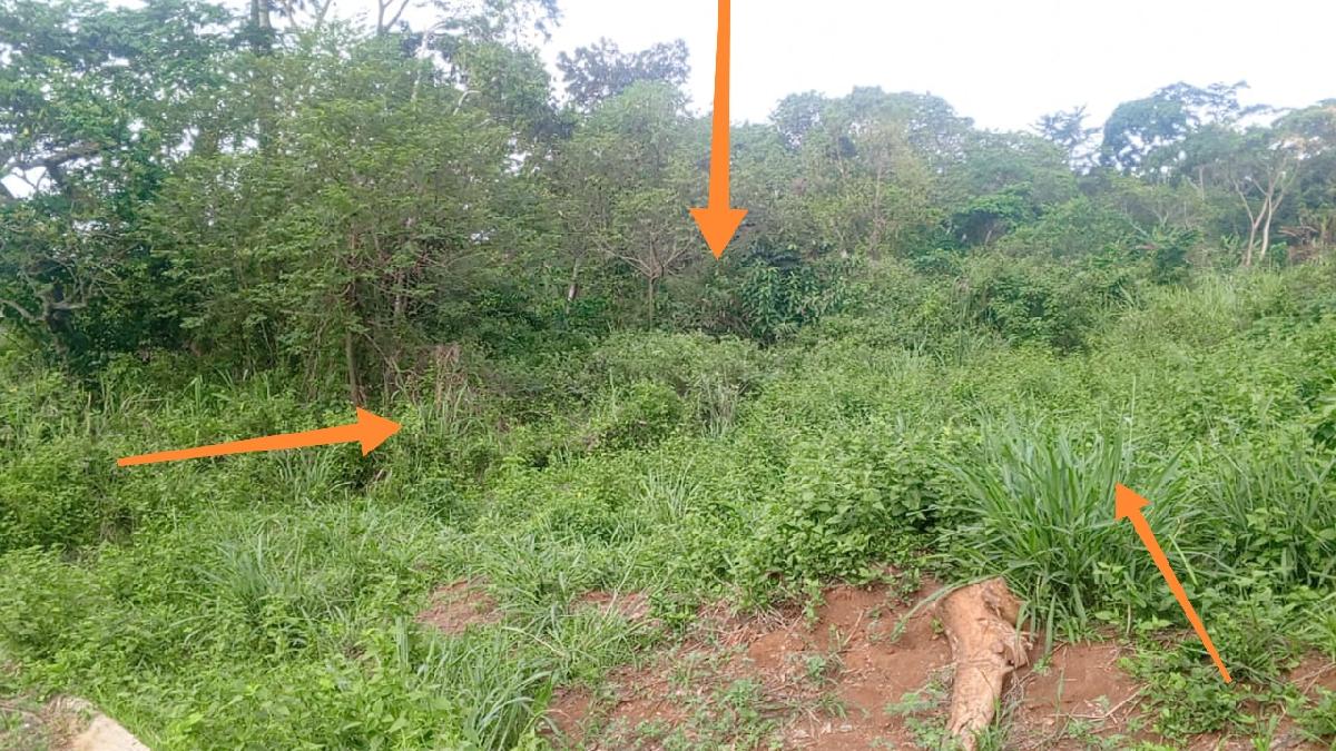 Vente&nbsp;Terrain&nbsp;YAOUNDE &nbsp;CAMEROUN&nbsp;&nbsp;