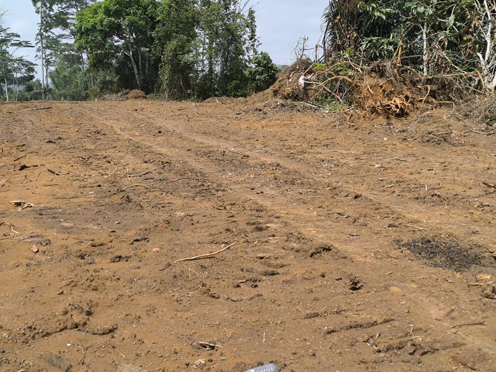 Vente Terrain YAOUNDE CAMEROUN  