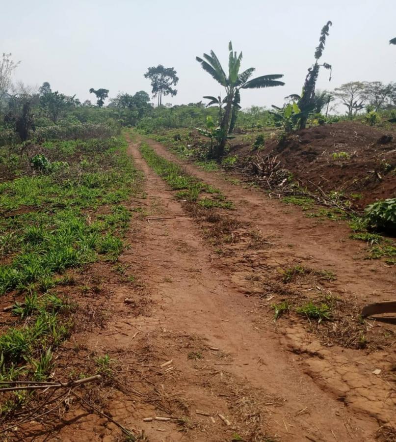 Vente Terrain YAOUNDE CAMEROUN  