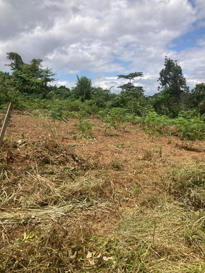 Vente Terrain YAOUNDE CAMEROUN  