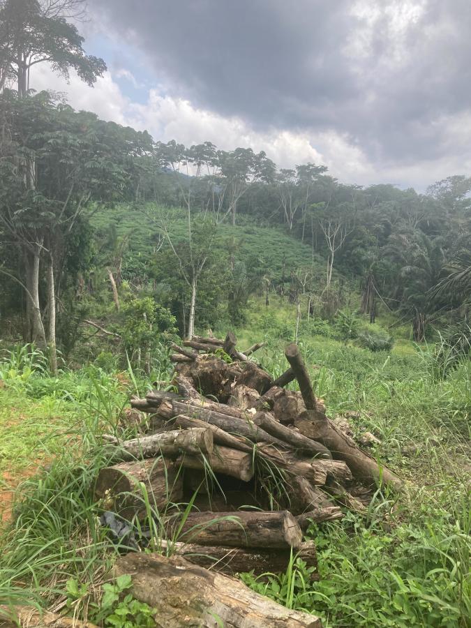 Vente Terrain YAOUNDE CAMEROUN  